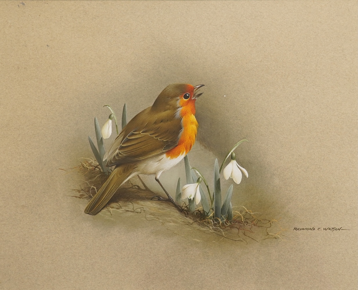 Raymond Cyril Watson (b.1935), ‘Robin and Snowdrops’, signed, watercolour and gouache, 21 x 26cm